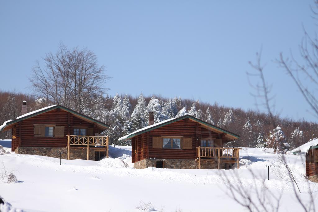 Sfendamos Wood Village Naousa  Exterior photo