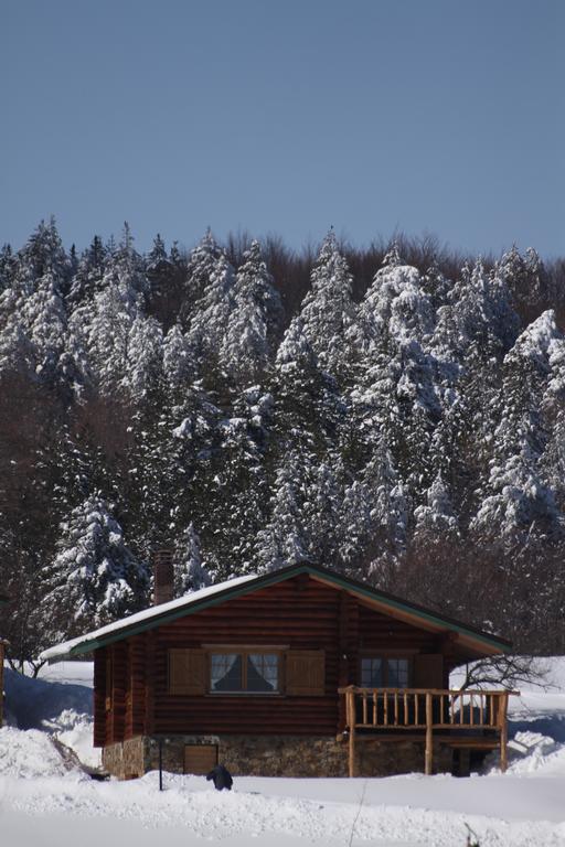Sfendamos Wood Village Naousa  Exterior photo
